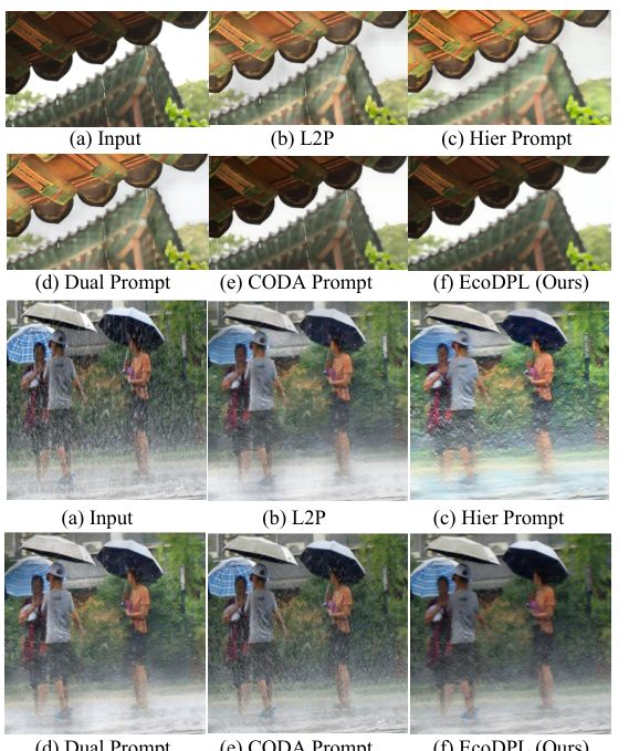 Real-world visual comparison with EcoDPL